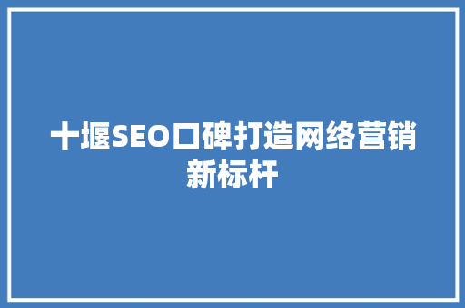 十堰SEO口碑打造网络营销新标杆