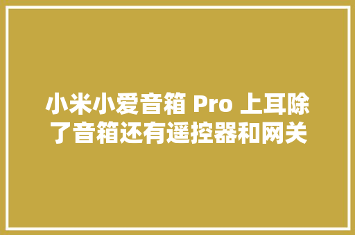 小米小爱音箱 Pro 上耳除了音箱还有遥控器和网关