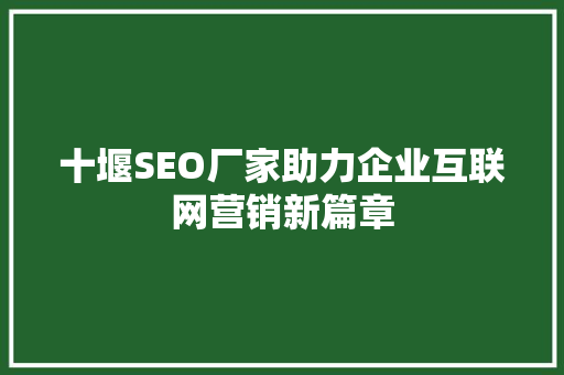 十堰SEO厂家助力企业互联网营销新篇章