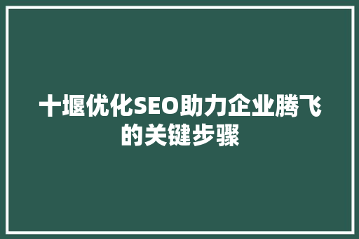 十堰优化SEO助力企业腾飞的关键步骤