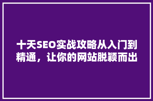 十天SEO实战攻略从入门到精通，让你的网站脱颖而出