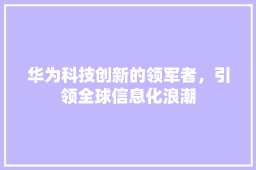 华为科技创新的领军者，引领全球信息化浪潮