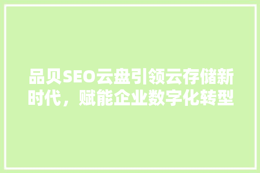 品贝SEO云盘引领云存储新时代，赋能企业数字化转型