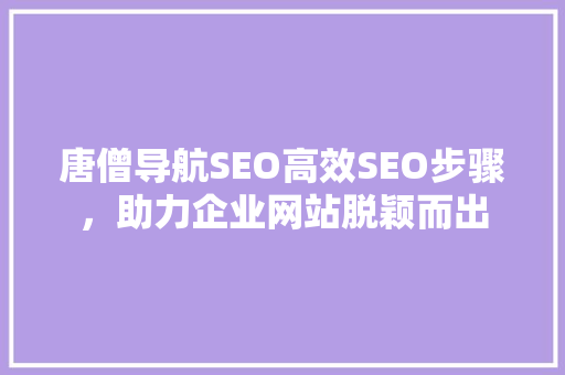 唐僧导航SEO高效SEO步骤，助力企业网站脱颖而出