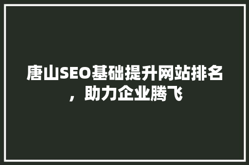 唐山SEO基础提升网站排名，助力企业腾飞