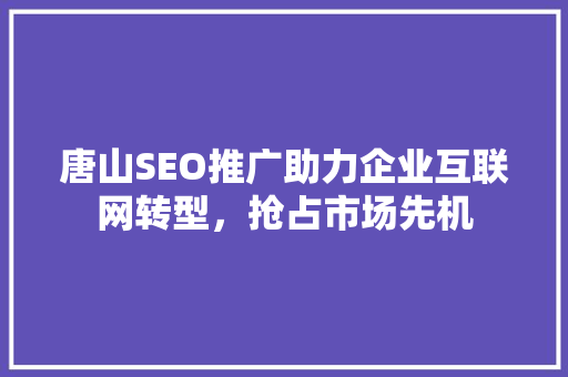 唐山SEO推广助力企业互联网转型，抢占市场先机