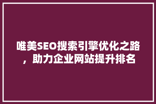 唯美SEO搜索引擎优化之路，助力企业网站提升排名