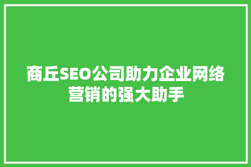 商丘SEO公司助力企业网络营销的强大助手