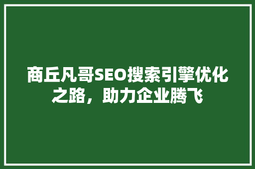 商丘凡哥SEO搜索引擎优化之路，助力企业腾飞