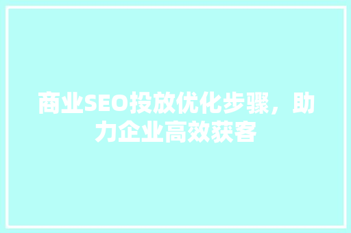 商业SEO投放优化步骤，助力企业高效获客