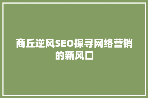 商丘逆风SEO探寻网络营销的新风口