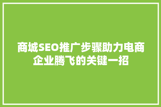 商城SEO推广步骤助力电商企业腾飞的关键一招