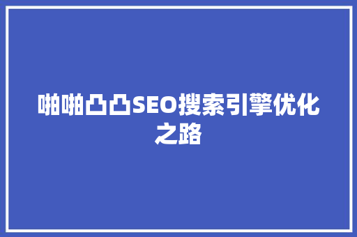 啪啪凸凸SEO搜索引擎优化之路