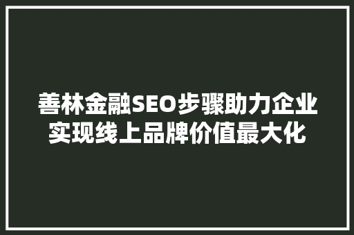 善林金融SEO步骤助力企业实现线上品牌价值最大化