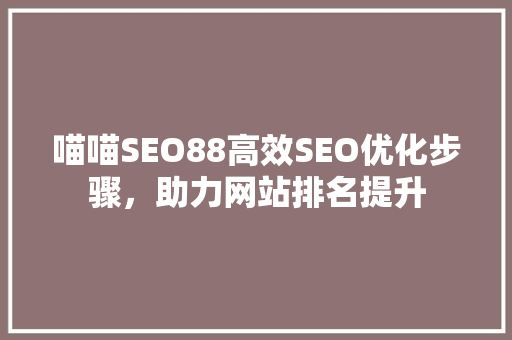 喵喵SEO88高效SEO优化步骤，助力网站排名提升