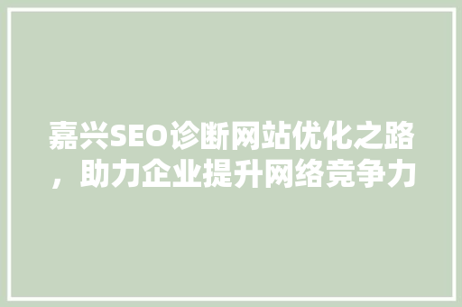 嘉兴SEO诊断网站优化之路，助力企业提升网络竞争力