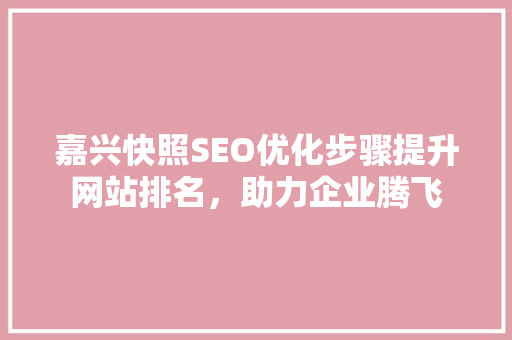 嘉兴快照SEO优化步骤提升网站排名，助力企业腾飞