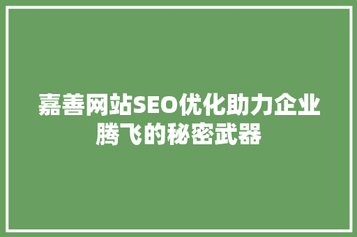 嘉善网站SEO优化助力企业腾飞的秘密武器