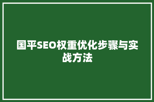 国平SEO权重优化步骤与实战方法