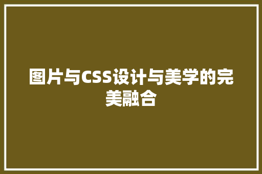 图片与CSS设计与美学的完美融合