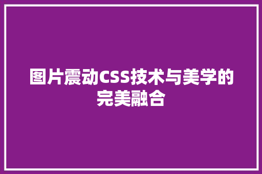 图片震动CSS技术与美学的完美融合