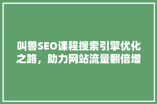 叫兽SEO课程搜索引擎优化之路，助力网站流量翻倍增长