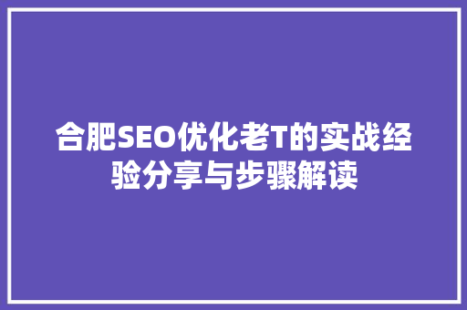 合肥SEO优化老T的实战经验分享与步骤解读