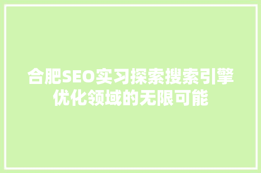 合肥SEO实习探索搜索引擎优化领域的无限可能