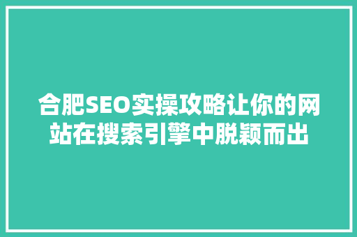 合肥SEO实操攻略让你的网站在搜索引擎中脱颖而出