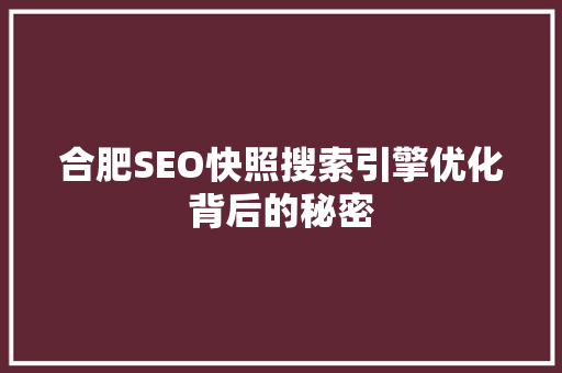 合肥SEO快照搜索引擎优化背后的秘密