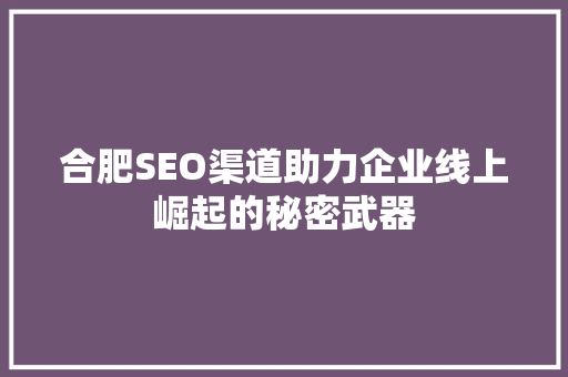 合肥SEO渠道助力企业线上崛起的秘密武器