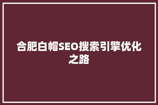 合肥白帽SEO搜索引擎优化之路