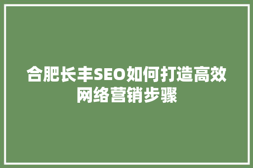 合肥长丰SEO如何打造高效网络营销步骤