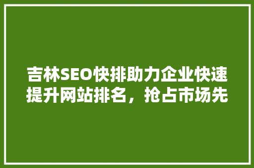 吉林SEO快排助力企业快速提升网站排名，抢占市场先机