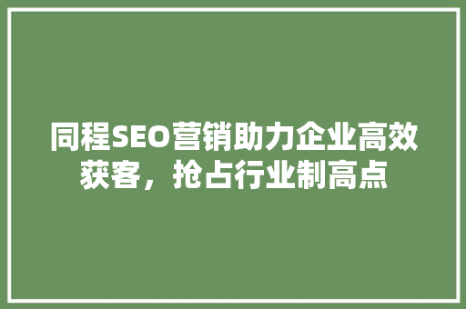 同程SEO营销助力企业高效获客，抢占行业制高点