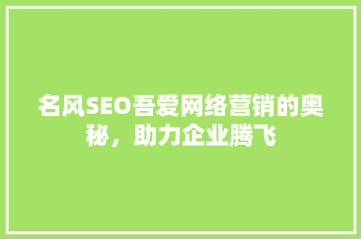 名风SEO吾爱网络营销的奥秘，助力企业腾飞