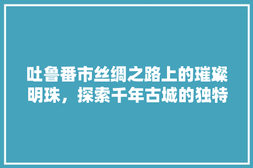 吐鲁番市丝绸之路上的璀璨明珠，探索千年古城的独特魅力