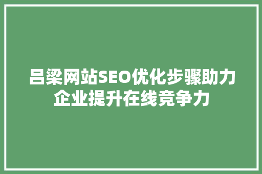 吕梁网站SEO优化步骤助力企业提升在线竞争力