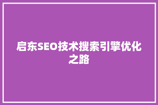 启东SEO技术搜索引擎优化之路