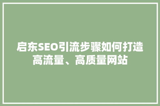 启东SEO引流步骤如何打造高流量、高质量网站