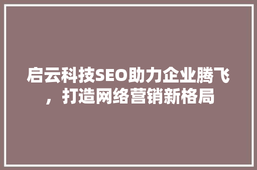 启云科技SEO助力企业腾飞，打造网络营销新格局