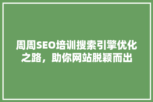 周周SEO培训搜索引擎优化之路，助你网站脱颖而出