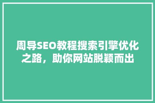 周导SEO教程搜索引擎优化之路，助你网站脱颖而出