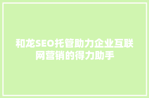 和龙SEO托管助力企业互联网营销的得力助手