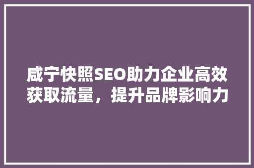 咸宁快照SEO助力企业高效获取流量，提升品牌影响力