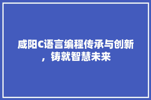 咸阳C语言编程传承与创新，铸就智慧未来