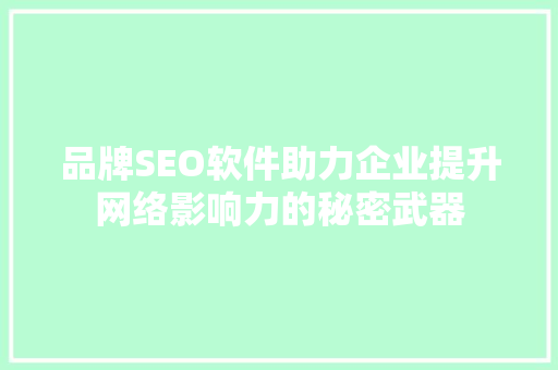 品牌SEO软件助力企业提升网络影响力的秘密武器