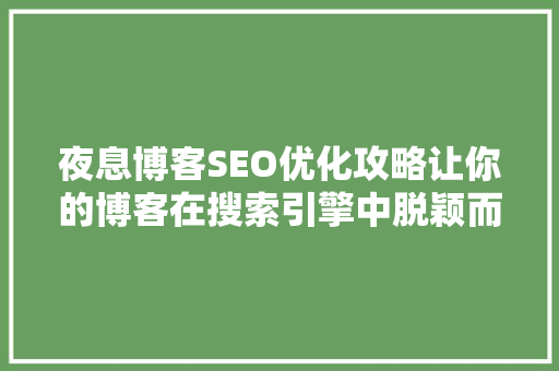 夜息博客SEO优化攻略让你的博客在搜索引擎中脱颖而出