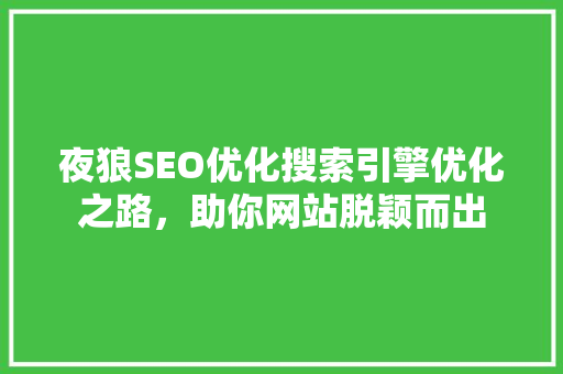 夜狼SEO优化搜索引擎优化之路，助你网站脱颖而出