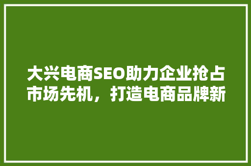 大兴电商SEO助力企业抢占市场先机，打造电商品牌新高度